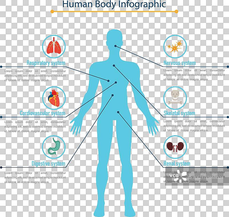 人体信息图概念图片素材
