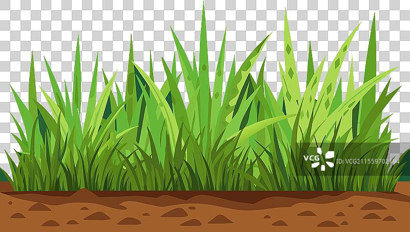 自然的绿色草坪和灌木装饰环境图片素材