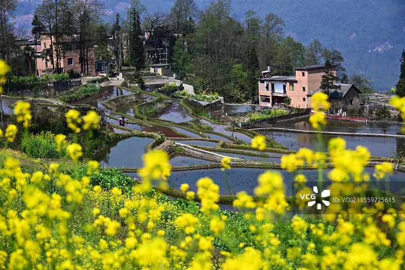 云南元阳爱春蓝梯田：春日梯田  美景如画图片素材