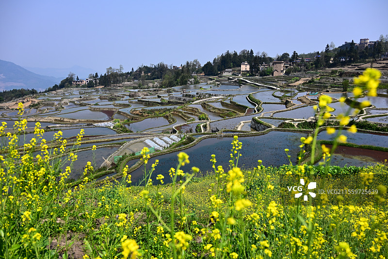 云南元阳爱春蓝梯田：春日梯田  美景如画图片素材