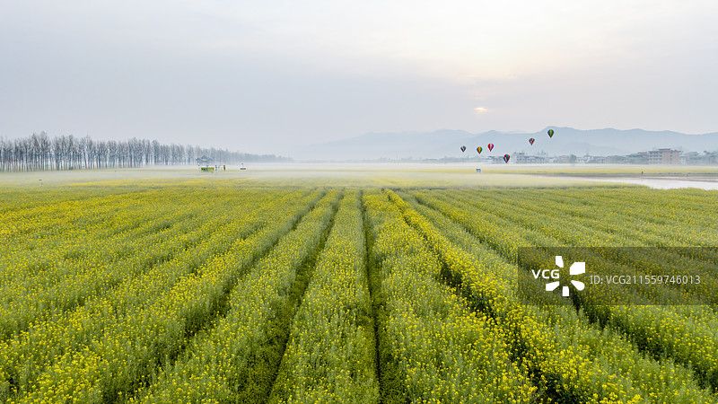 天府粮仓-四川开江县粮油现代农业园区图片素材