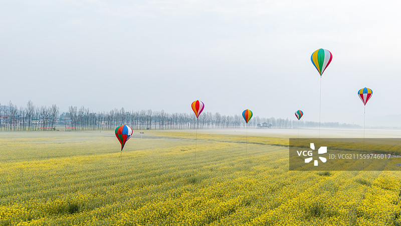 天府粮仓-四川开江县粮油现代农业园区图片素材