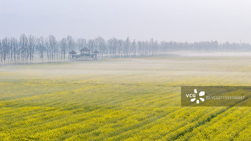 天府粮仓-四川开江县粮油现代农业园区图片素材