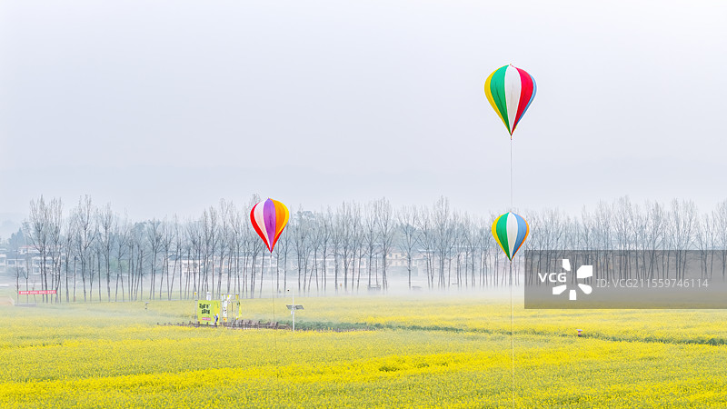 天府粮仓-四川开江县粮油现代农业园区图片素材
