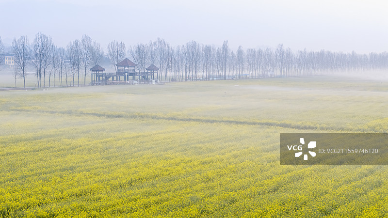 天府粮仓-四川开江县粮油现代农业园区图片素材