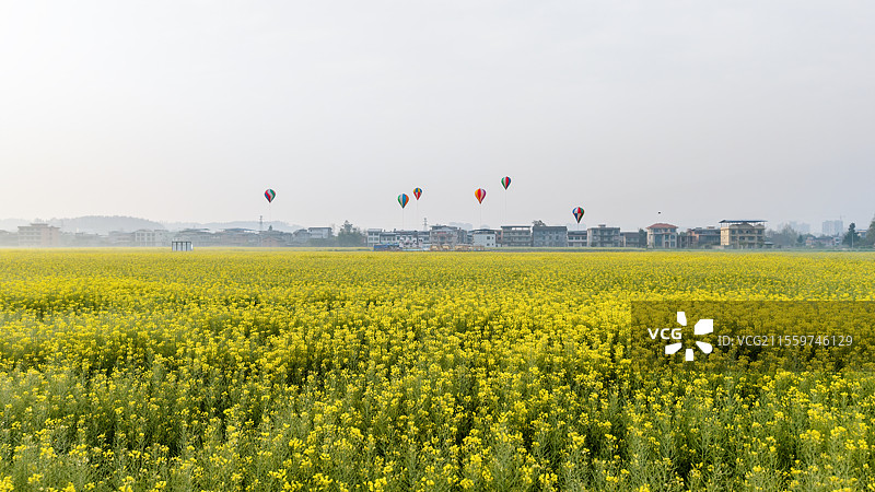 天府粮仓-四川开江县粮油现代农业园区图片素材