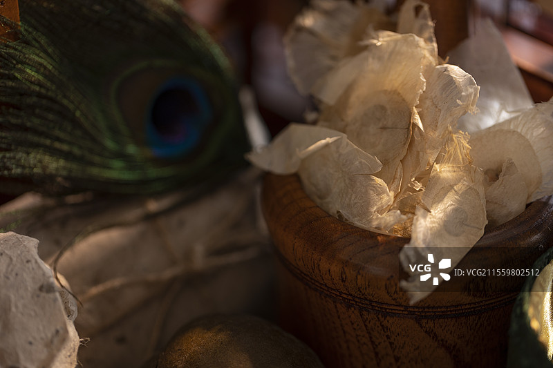 中药材木蝴蝶特写图片素材