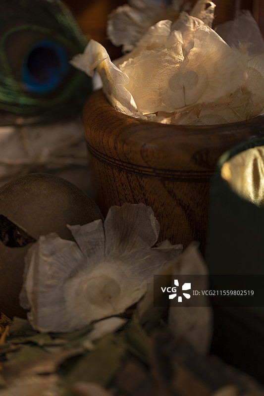 中药材木蝴蝶图片素材