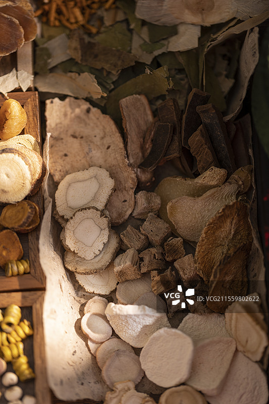 多种中药材图片素材