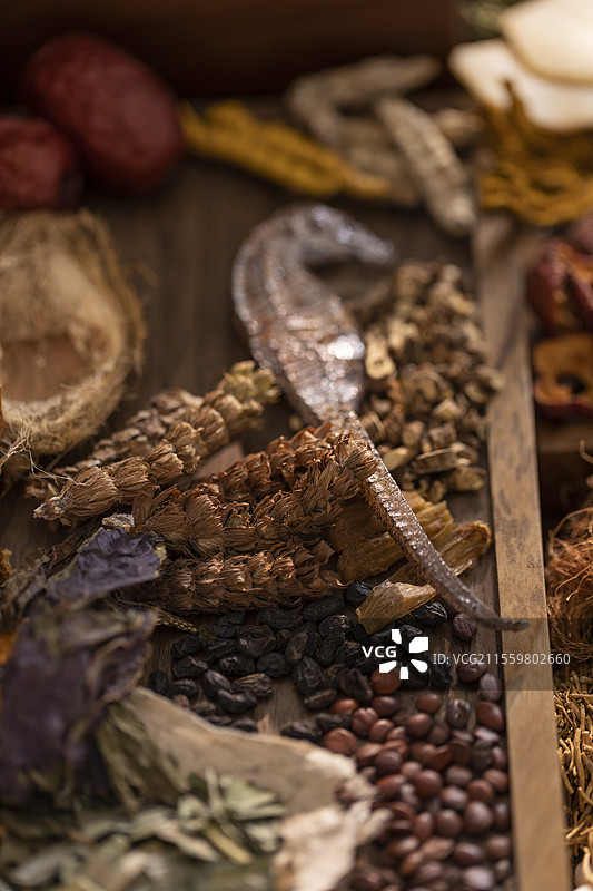 多种中药材图片素材