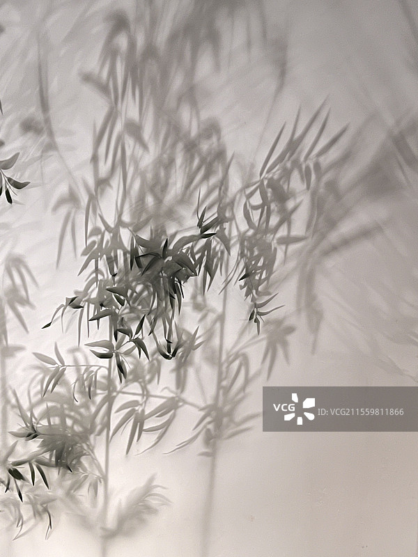 你看到的是什么？图片素材