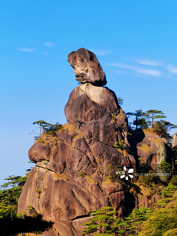 三清山上的“牛魔王”图片素材