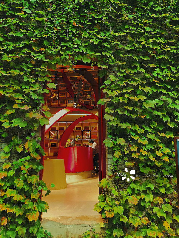 重庆中山四路:篱笆墙里听雨声图片素材