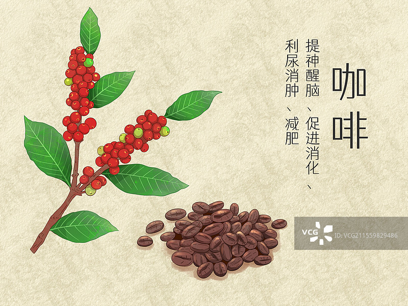 手绘水彩中药药材咖啡插画图片素材