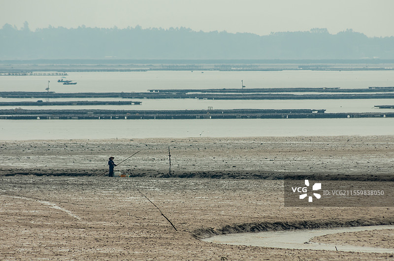 北海市滩涂上的赶海人图片素材