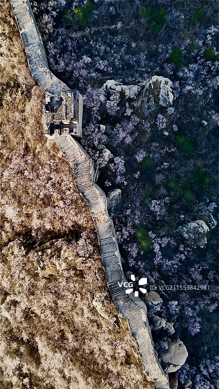 山花烂漫龙泉峪长城图片素材