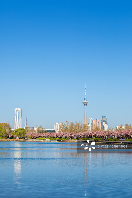 天津文化中心图片素材