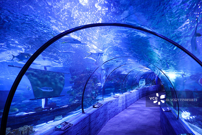 北海海底世界图片素材