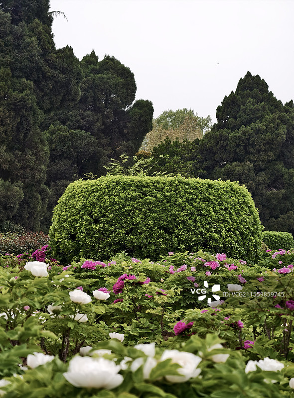 人民公园一角图片素材