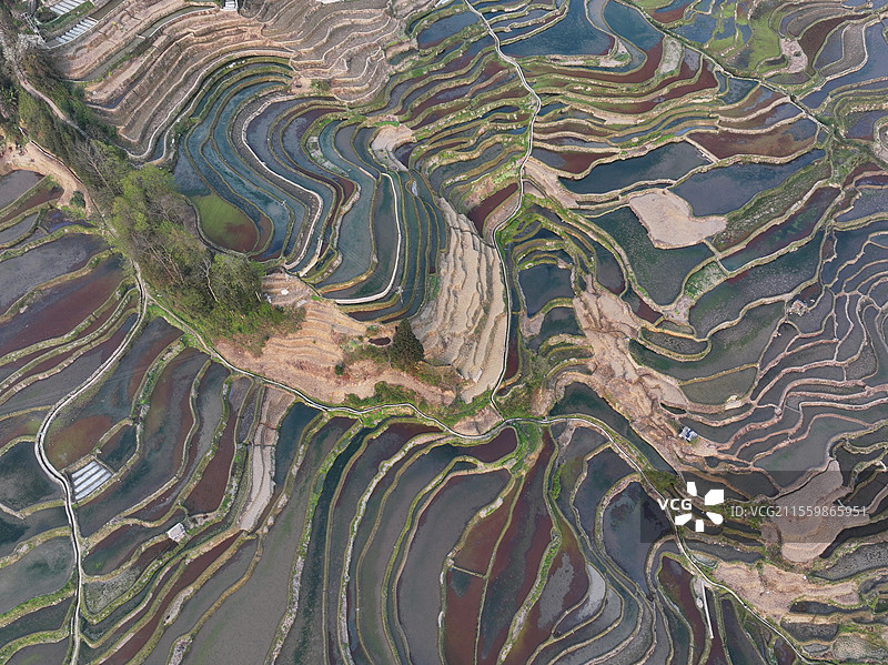云南元阳梯田图片素材