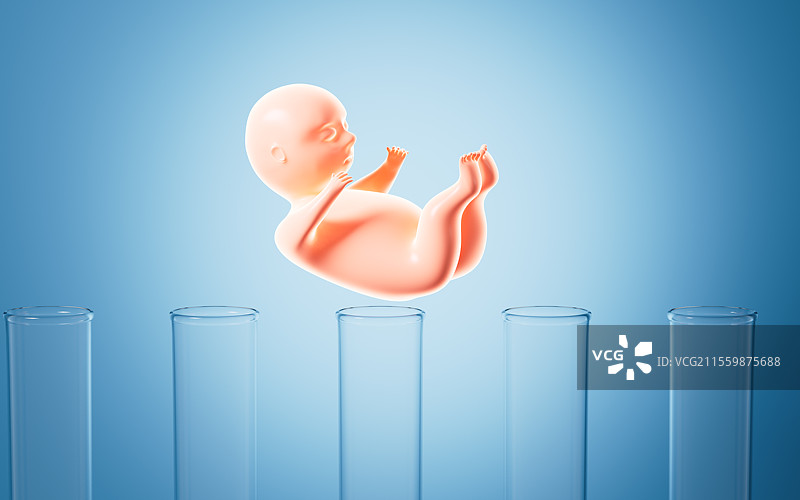人类胚胎模型3D渲染图片素材