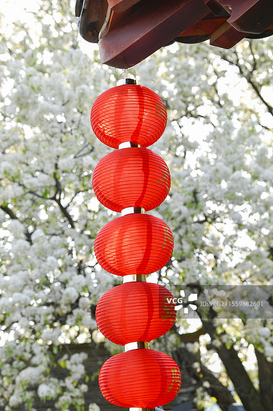 春暖花开的大宝佛寺图片素材