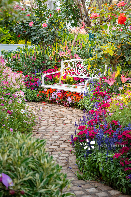 深圳笔架山公园粤港澳大湾区花展里的铁制椅子图片素材
