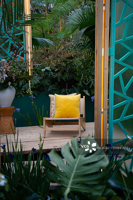 深圳笔架山公园粤港澳大湾区花展2025图片素材