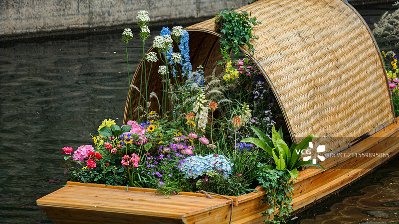 2025深圳笔架山公园粤港澳大湾区花展图片素材