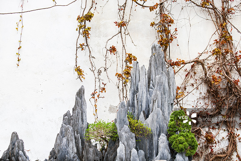 苏州园林留园里的又一村盆景组图图片素材