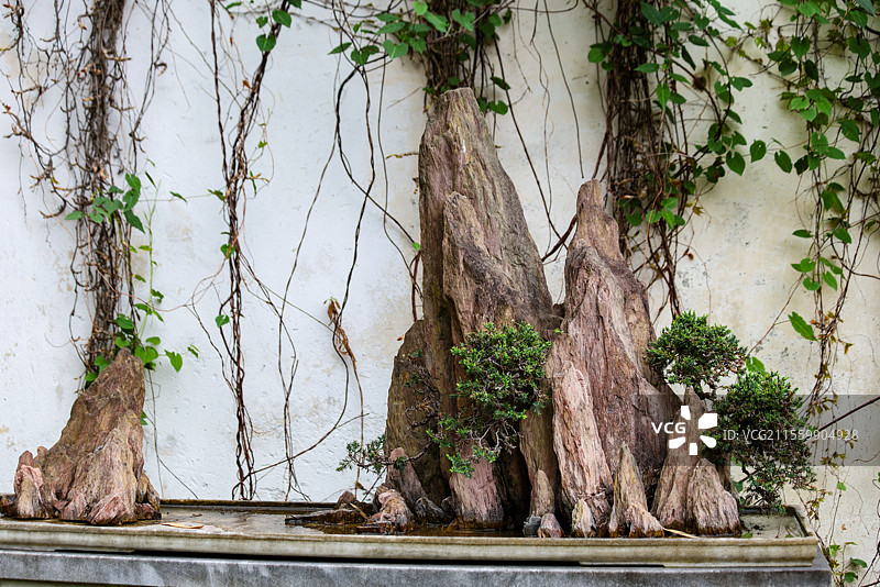 苏州园林留园里的又一村盆景组图图片素材