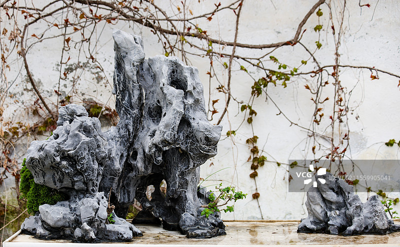 苏州园林留园里的又一村盆景组图图片素材