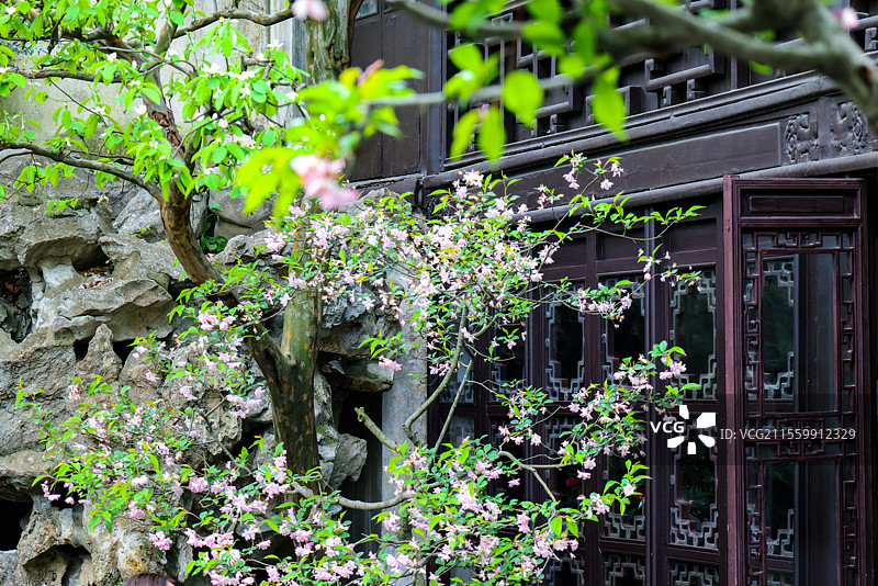 春天苏州古典园林之留园的各种花窗合集图片素材