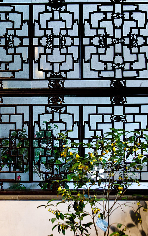 春天苏州古典园林之留园的各种花窗合集图片素材