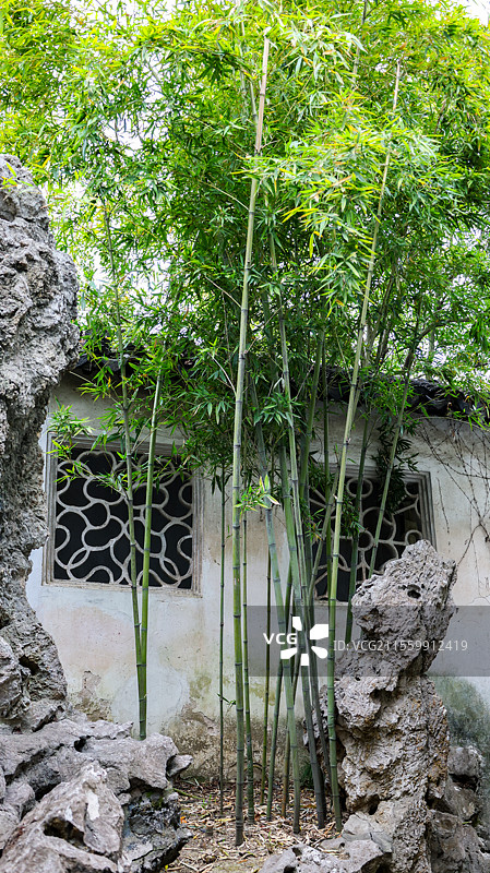 春天苏州古典园林之留园的各种花窗合集图片素材