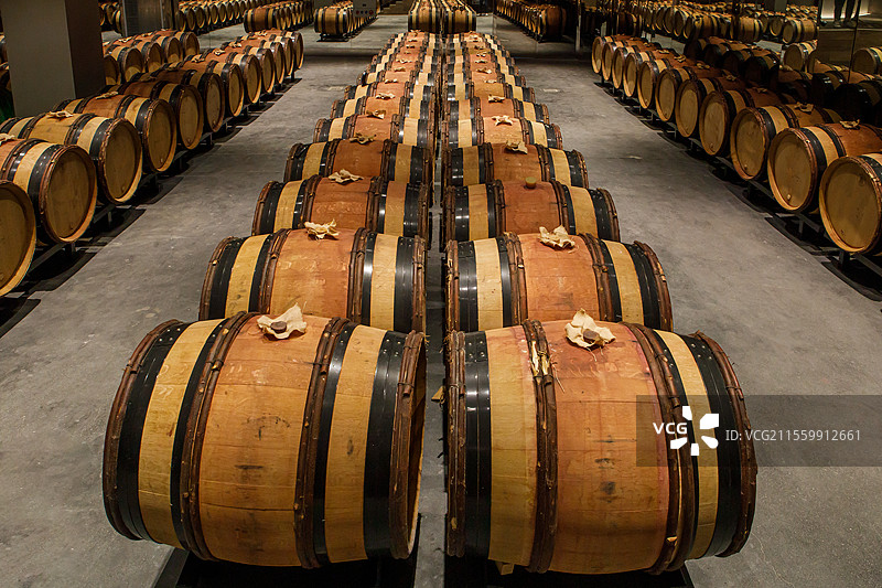 酒窖里的橡木桶图片素材