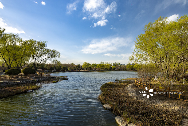 燕郊植物园图片素材