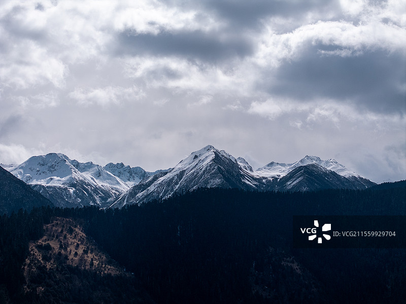 中国西藏林芝鲁朗镇贡布拉赞雪山图片素材