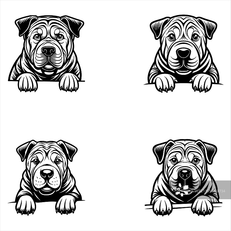 探出头来的沙皮狗脸部图片素材