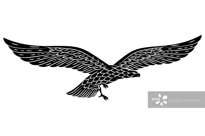 展翅的鹰图片素材