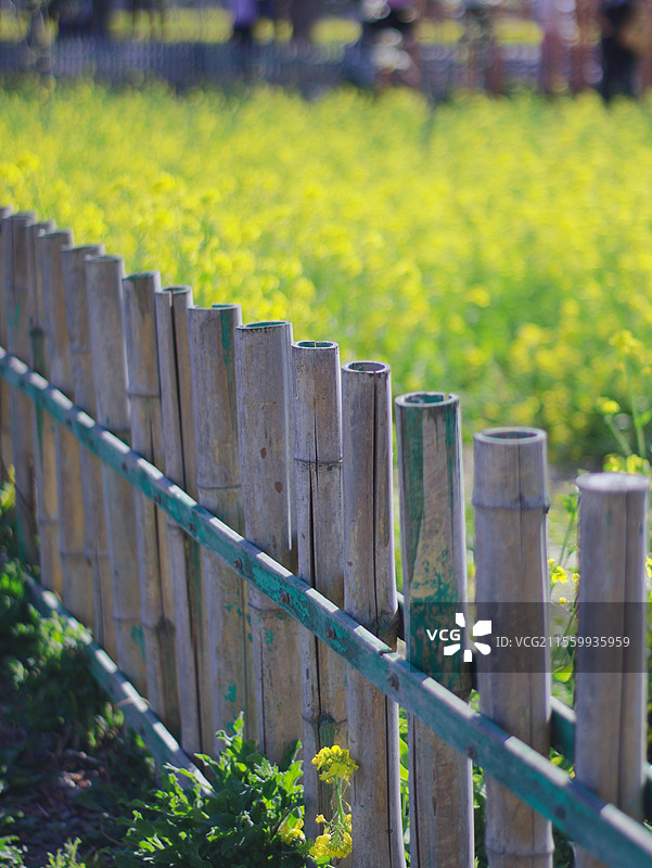 京城梨园春景图片素材