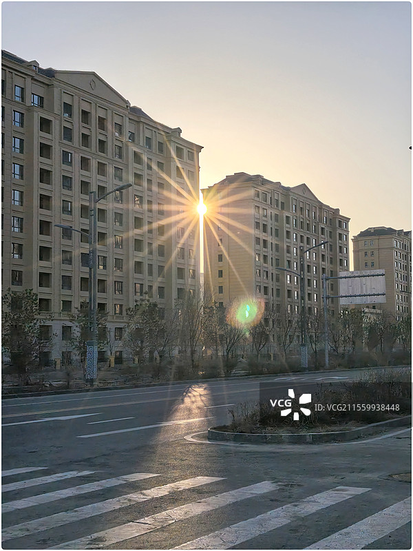 晨光12图片素材