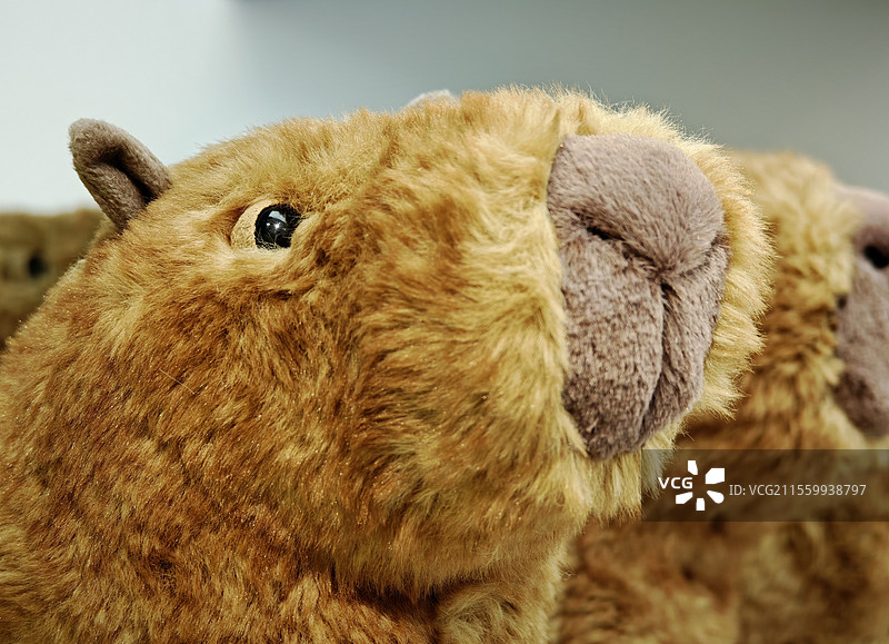 卡皮巴拉水豚儿童节玩具礼物图片素材