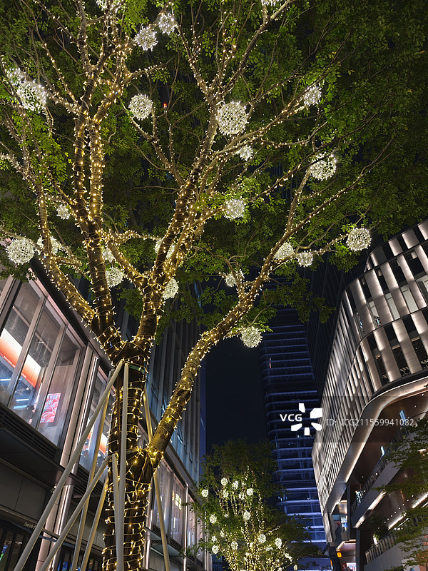 深圳罗湖万象食家购物中心用灯饰装扮的树竖幅图片素材