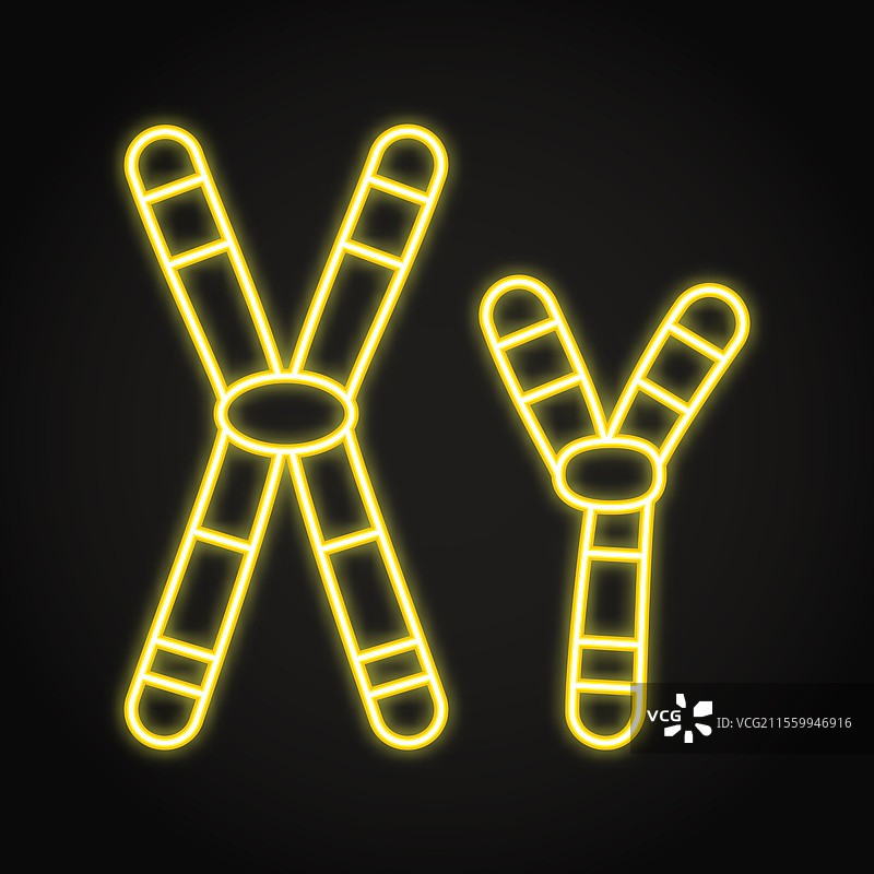 X和Y染色体霓虹灯图标图片素材