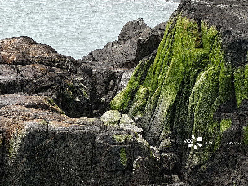 海岸边大块的岩石，经过长年海水的拍打，岩石上已经形成了一层厚厚的青苔，很有意思图片素材