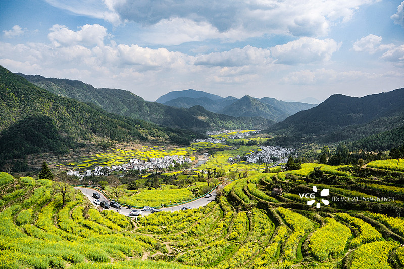 婺源江岭金鸡报晓观景台油菜花图片素材