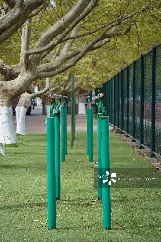 大学校园里的树下双杆运动健生器材图片素材