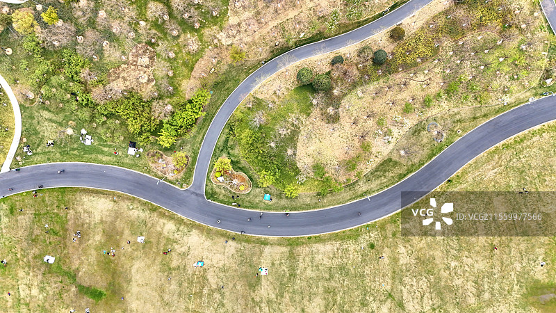 清明时节众多游客在合肥骆岗公园城市中央公园健康步道跑道健身赏春踏青图片素材