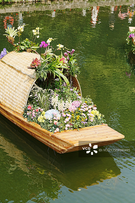 深圳笔架山公园景色及花展图片素材